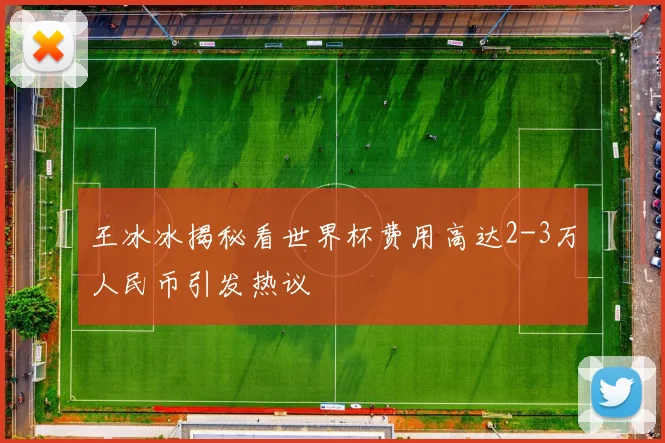 王冰冰揭秘看世界杯费用高达2-3万人民币引发热议