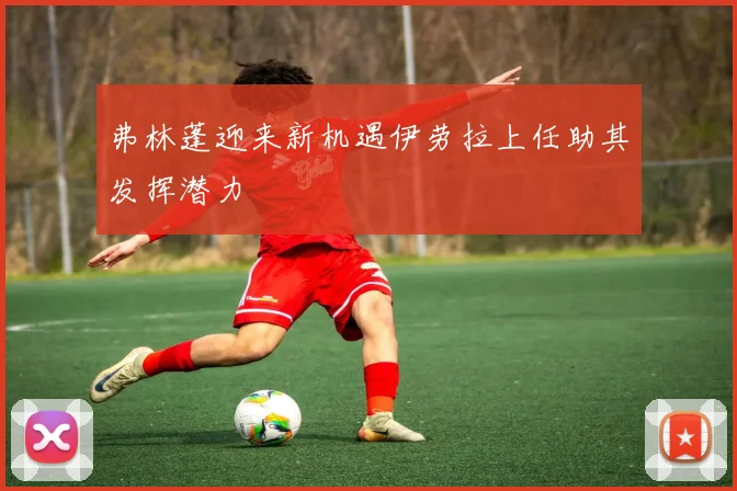 弗林蓬迎来新机遇伊劳拉上任助其发挥潜力